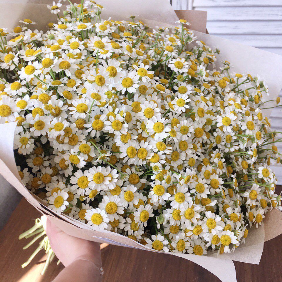 Bursts of Joy: Spray Daisy Bouquets - GOOL: FLOWER SHOP