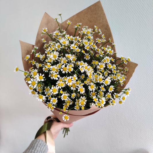 Bursts of Joy: Spray Daisy Bouquets - GOOL: FLOWER SHOP