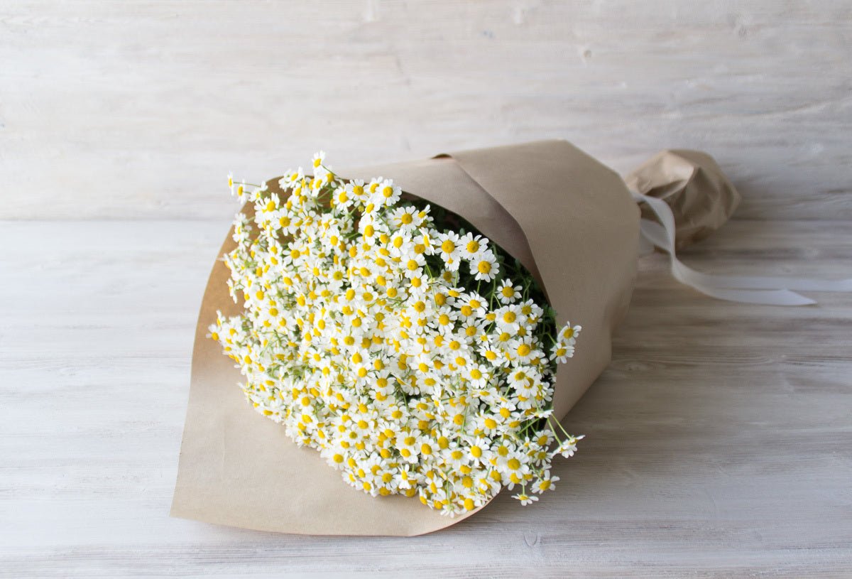 Bursts of Joy: Spray Daisy Bouquets - GOOL: FLOWER SHOP