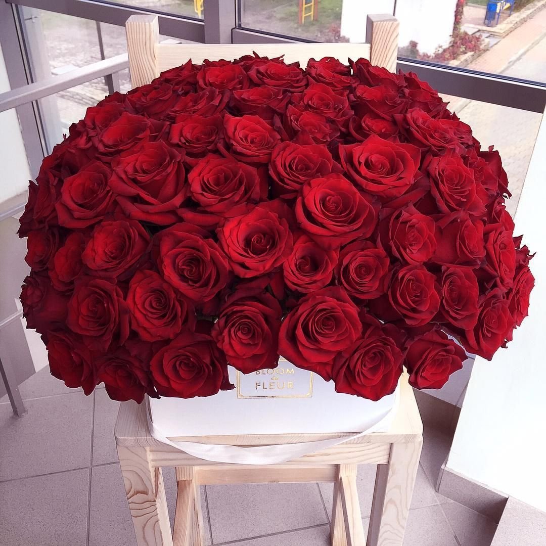 Crimson Devotion: 51 Red Roses Bouquet - GOOL: FLOWER SHOP