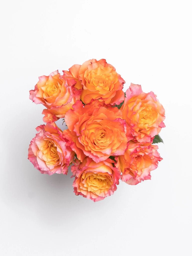 Fiery Petals: Orange Roses