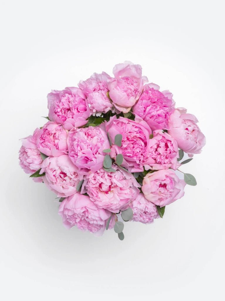 Petals of Romance: Pink Peonies in Vase - GOOL: FLOWER SHOP