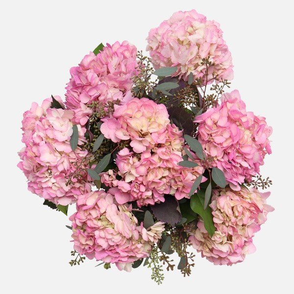 Soothing Pink Hydrangea Vase - GOOL: FLOWER SHOP