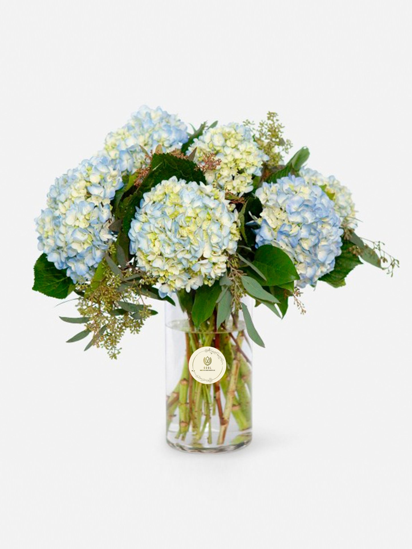 Whispers of Sky: Light Blue Hydrangea Vase - GOOL: FLOWER SHOP