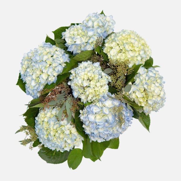 Whispers of Sky: Light Blue Hydrangea Vase - GOOL: FLOWER SHOP