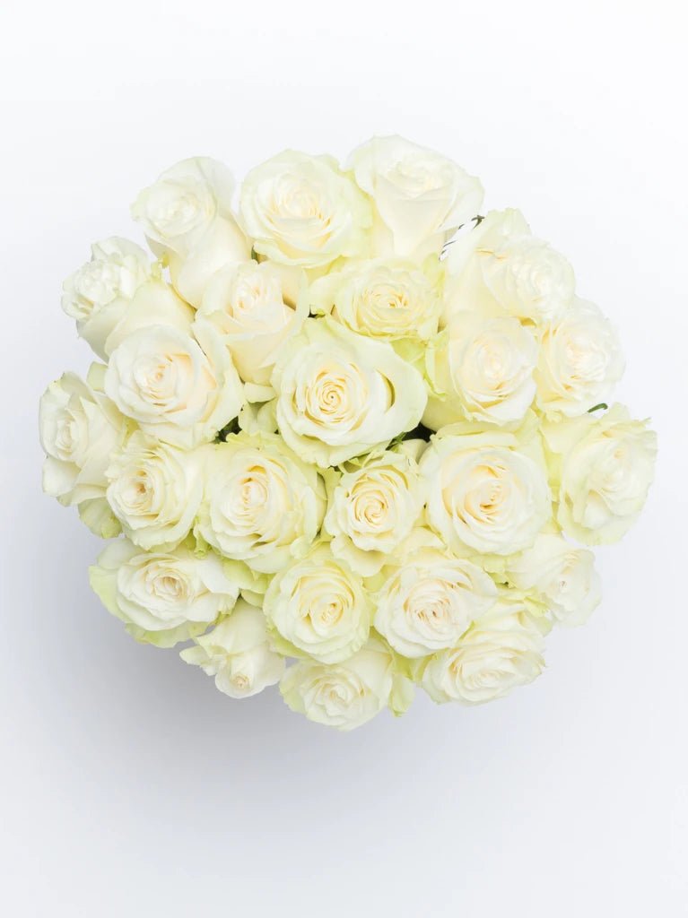 Whispers of White Roses - GOOL: FLOWER SHOP