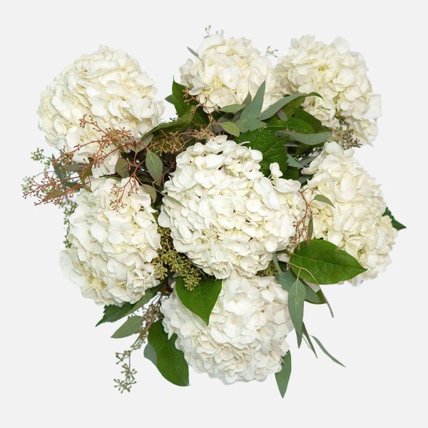 White Hydrangea Symphony - GOOL: FLOWER SHOP