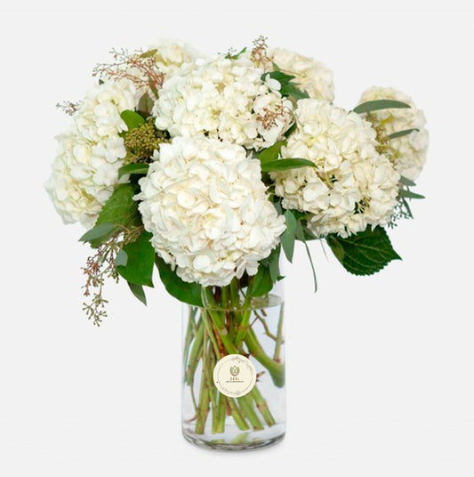 White Hydrangea Symphony - GOOL: FLOWER SHOP